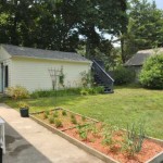 Duck Cove Backyard